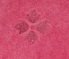 Petal Pink - Swatch