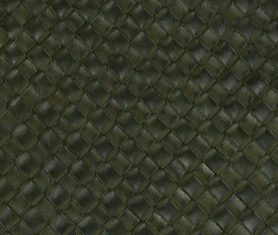 Olive - Swatch