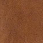 Tan - Swatch